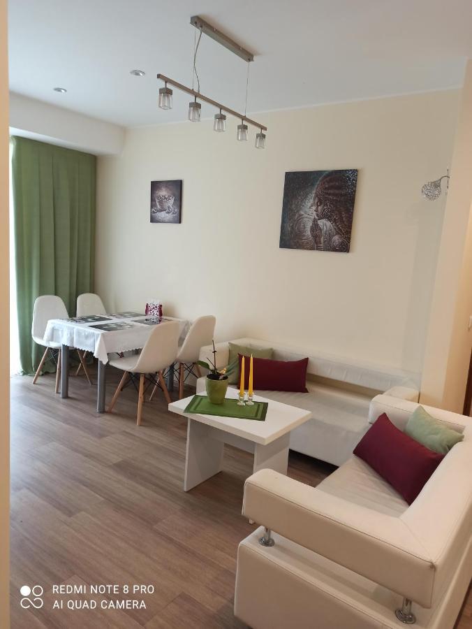 Nelli Apartamentai Ντρουσκινινκάι Εξωτερικό φωτογραφία